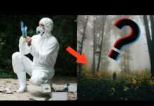 ?იმან, რაც მეცნიერებმა ტყეში აღმოაჩინეს, ყველა შოკში ჩააგდო – რეალური ისტორია