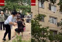 (ვიდეო) ხალხო ნეტა ეს არ მენახა, საშინელება ხდება კორპუსში, ყველანი გავუბედურდებით… – ვრცელდება შემზარავი კადრები