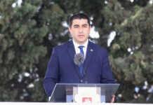 დიდმა დეზინფორმაციულმა კამპანიამ, რომელიც მომდინარეობდა არა ჩრდილოეთიდან, არამედ დასავლეთიდან, მსოფლიო დონეზე შელახა საქართველოს რეპუტაცია – შალვა პაპუაშვილი