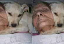 “1 წლის მანძილზე ქალი კომაში იყო..” – მისმა სიტყვებმა გამოღვიძებისას, მეცნიერები შოკში ჩააგდო