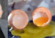 ლევან ბერძენიშვილს ჭავჭავაძის გამზირზე კვერცხები დაუშინეს