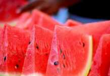 რას ამტკიცებს ირანული და თურქული საზამთროს შემომტანი და რა ექსპერიმენტს სთავაზობს „ალიას“?