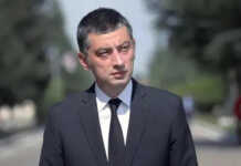 “„ოცნებამ” საკუთარ მოსახლეობას ჰიბრიდული ომი გამოუცხადა: იმისთვის, რომ ძალაუფლება შეინარჩუნოს ჩვენი შვილის მომავლით ვაჭრობს”- გახარიას განცხადება