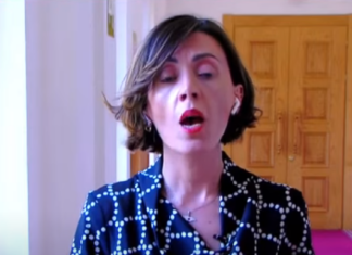 ანა წითლიძე ბიძინა ივანიშვილის ქონების და მისი ოჯახის სანქცირებას ითხოვს