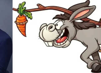 ,, წინ სტაფილოჩამოკიდებული სახედრის როლში ყოფნა აღარ გვსურს” – ირაკლი გოგავა