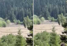 VIDEO: კადრები შოვიდან, რომლებიც ამ დრომდე არ გავრცელებულა