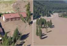 „დავინახე ახალგაზრდა წყვილი, რომელიც ხეზე აძვრა თავის გადასარჩენად და საბოლოოდ, ხიანად მოგლიჯა და წაიღო მეწყერმა, ასევე წყვილი, რომლებმაც მანქანიდან გადმოსვლა ვერ მოახერხეს და მანქანიანად წაიღო“ – მოქალაქე შოვში მომხდარი ტრაგედიის დეტალებს იხსენებს