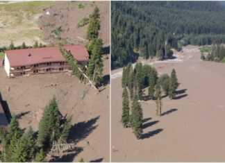 „დავინახე ახალგაზრდა წყვილი, რომელიც ხეზე აძვრა თავის გადასარჩენად და საბოლოოდ, ხიანად მოგლიჯა და წაიღო მეწყერმა, ასევე წყვილი, რომლებმაც მანქანიდან გადმოსვლა ვერ მოახერხეს და მანქანიანად წაიღო“ – მოქალაქე შოვში მომხდარი ტრაგედიის დეტალებს იხსენებს