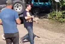 “ღმერთო, ხომ ხარ ღმერთი? აი, ამ კაცის შველას გთხოვ… იქნებ ,,გაუცოცხლო” ეგ თოჯინა?” – ჟურნალისტის სათხოვარი შოვიდან