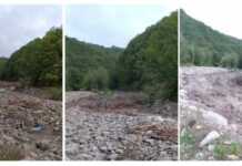 “ბუნებას გუშინ გაუფრთხილებია ადამიანები” – რა ვიდეო ვრცელდება სოციალურ ქსელში