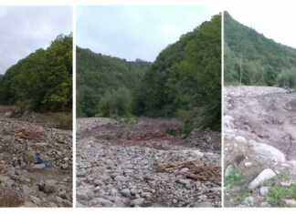 “ბუნებას გუშინ გაუფრთხილებია ადამიანები” – რა ვიდეო ვრცელდება სოციალურ ქსელში