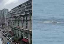 (ვიდეო) ბათუმში სანაპიროსთან რაღაცამ ამოხეთქა – იხილეთ უცნაური კადრები