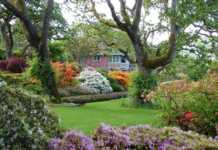 კანადაში მდებარე ულამაზესი ბაღი ქართული ფესვებით: “აფხაზეთში ვერ შევძელით ქორწილი და Abkhazi Garden-ში მაინც მოვახერხეთო”