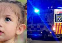 3 წლის ბავშვს წამში გული გაუჩერდა და კომაში ჩავარდა – რა დამართნია ანგელოზივით გოგონას?! მას თქვენი დახმარება სჭირდება