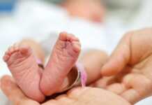 2023 წელს, იანვარ-ივნისში, საქართველოში 19 431 ბავშვი დაიბადა, 21 944 ადამიანი გარდაიცვალა – საქსტატი