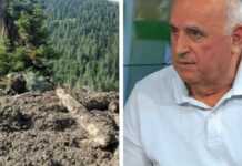 „შეიძლება თბილისშიც იგივე განმეორდეს, რაც შოვში მოხდა! აქ არის ოცამდე საშიში ლოკაცია, რომელთან მიკარებაც არ შეიძლებოდა! ეს ,,სიკვდილის ბიზნესია“! – ანზორ საკანდელიძე