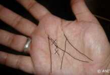 თუ თქვენს ხელისგულზე ლათინური ასო M არის გამოსახული – განსაკუთრებული ადამიანი ხართ