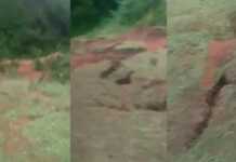 VIDEO: „ღმერთო, დაიფარე სამყარო“ – შემაშფოთებელი კადრები გურიიდან