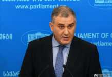 “საქართველო უახლოვდება იმ წერტილს, როდესაც C ჰეპატიტის დაავადება საბოლოოდ იქნება დამარცხებული“ – მიხეილ სარჯველაძე