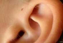 გაფიქრებაც რთული იყო – ას ნიშნავს ეს პატარა ხვრელი ყურზე, ძალიან ბევრს აქვს და უმრავლესობამ არ იცის