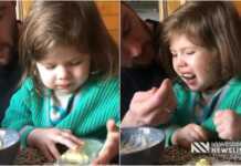 VIDEO: თავის ხელით აჭმევს – ბუდუს და შაის ახალი კადრები