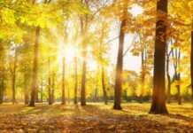 ტემპერატურა 30 გრადუსამდე მოიმატებს – ამინდის განახლებული პროგნოზი ქალაქების მიხედვით