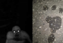 სოფელ ქაქუთის მოსახლეობა ამოუცნობ არსებას ეძებს: მაღალი, შუახნის, შავებში ჩაცმული მამაკაცი კარზე აკაკუნებს და შემდეგ ძალიან დიდი სისწრაფით გარბის…” – რას ამბობს ნათელმხილველი უჩვეულო ამბავზე?