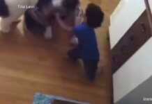 VIDEO: 2 წლის ბიჭუნამ ტყუპისცალის სიცოცხლე სასწაულებრივად იხსნა